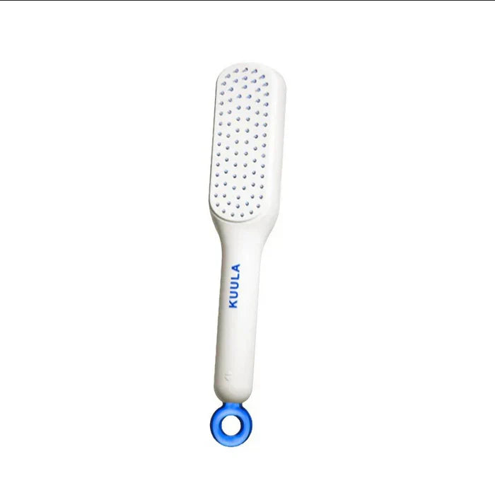 Self Cleaning Hair Massage Brush