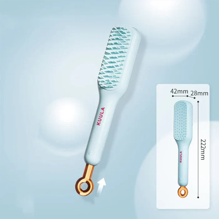Self Cleaning Hair Massage Brush